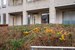 25. Wageningseberg 196, Utrecht-10.jpg